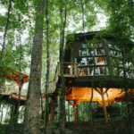 Treehouse Getaways In The Carolinas: All You Need To Know