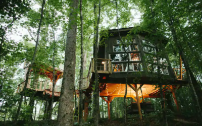Treehouse Getaways In The Carolinas: All You Need To Know