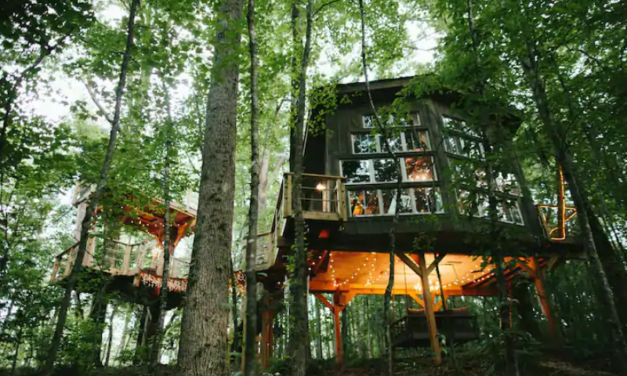Treehouse Getaways In The Carolinas: All You Need To Know