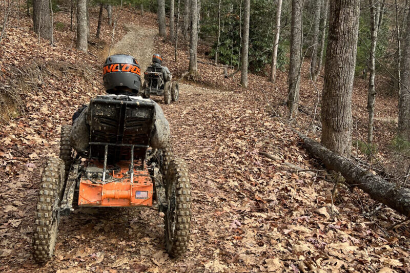 Riding mountain cats through the woods