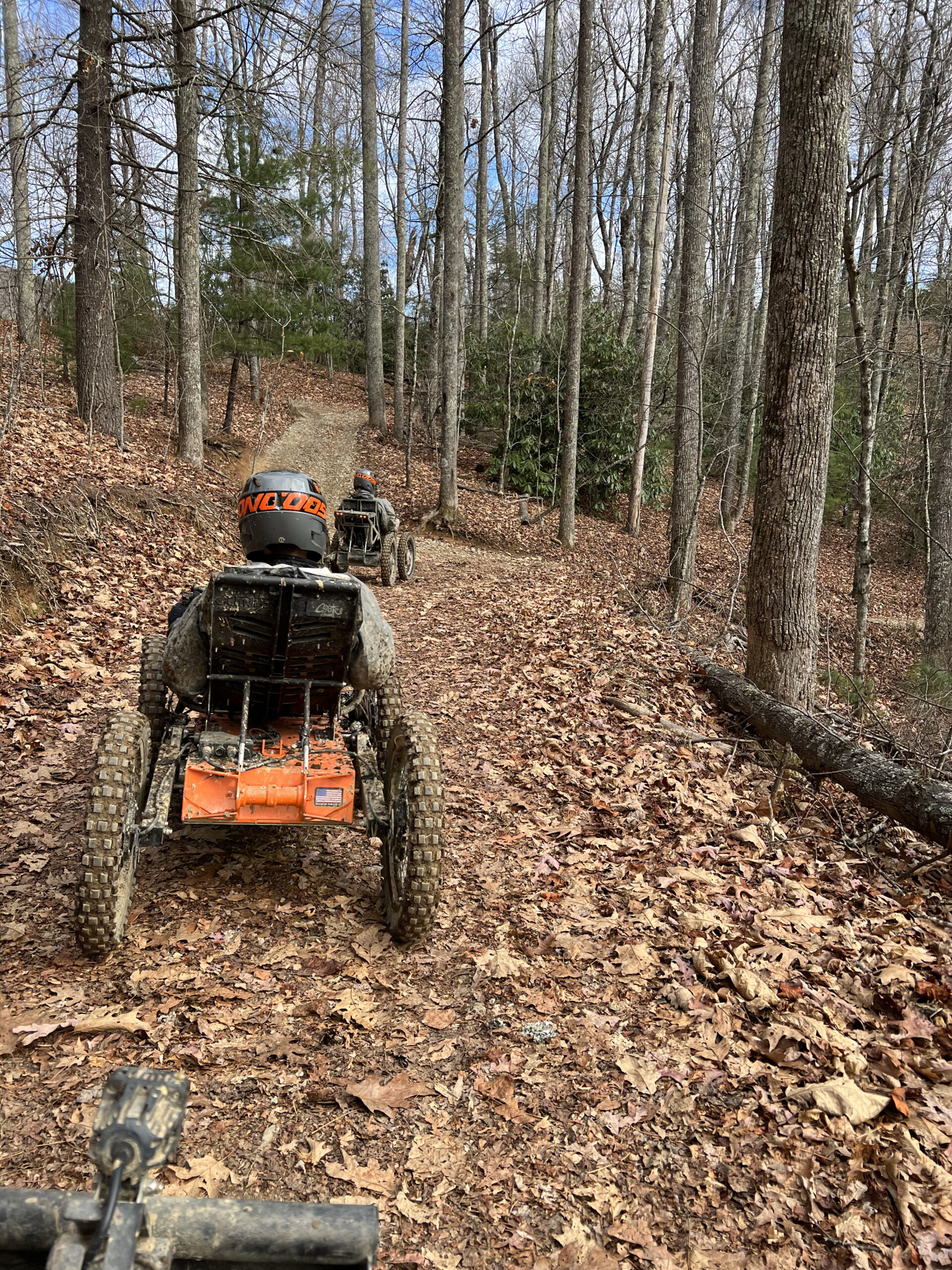 Riding mountain cats through the woods