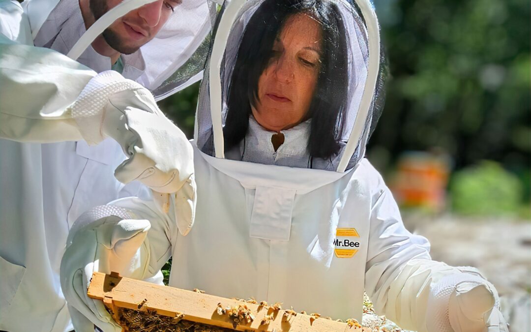Unionville Beekeeping Experience: Smoke Out the Hive!