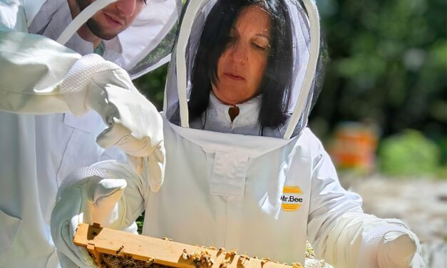 Unionville Beekeeping Experience: Smoke Out the Hive!