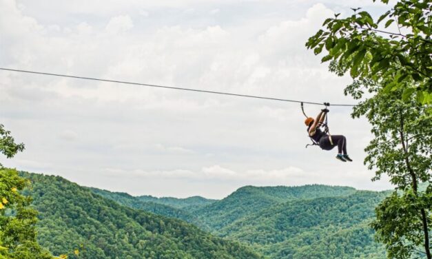 Drop 1100 Feet on The Gorge Zipline Adventure