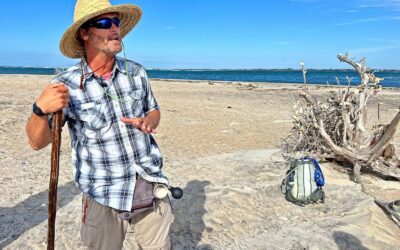 Embark on an OBX Wild Horses and Shelling Safari