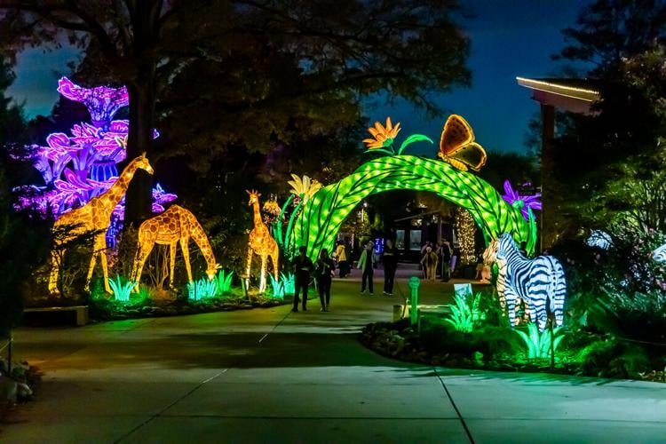 Wild Lights at Riverbanks Zoo