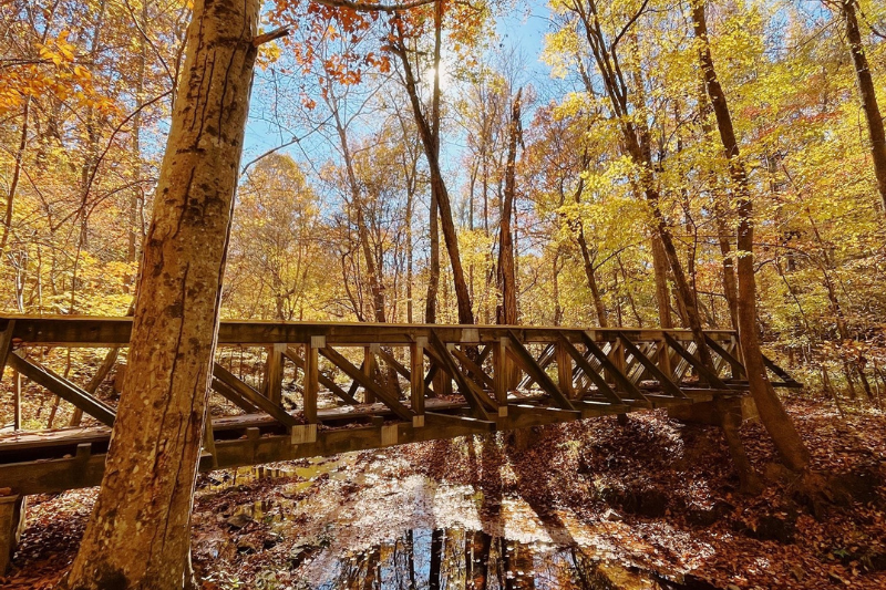 Haw River Trail