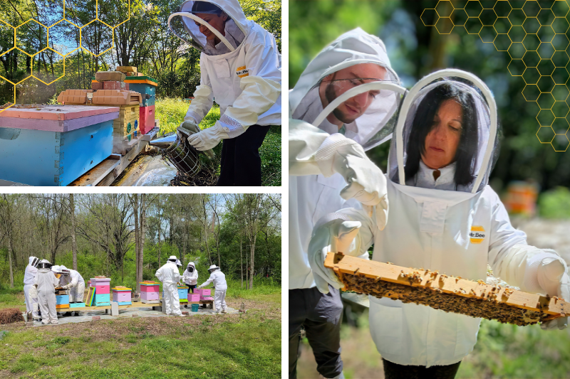 People attending a beekeeping experience in Unionville NC