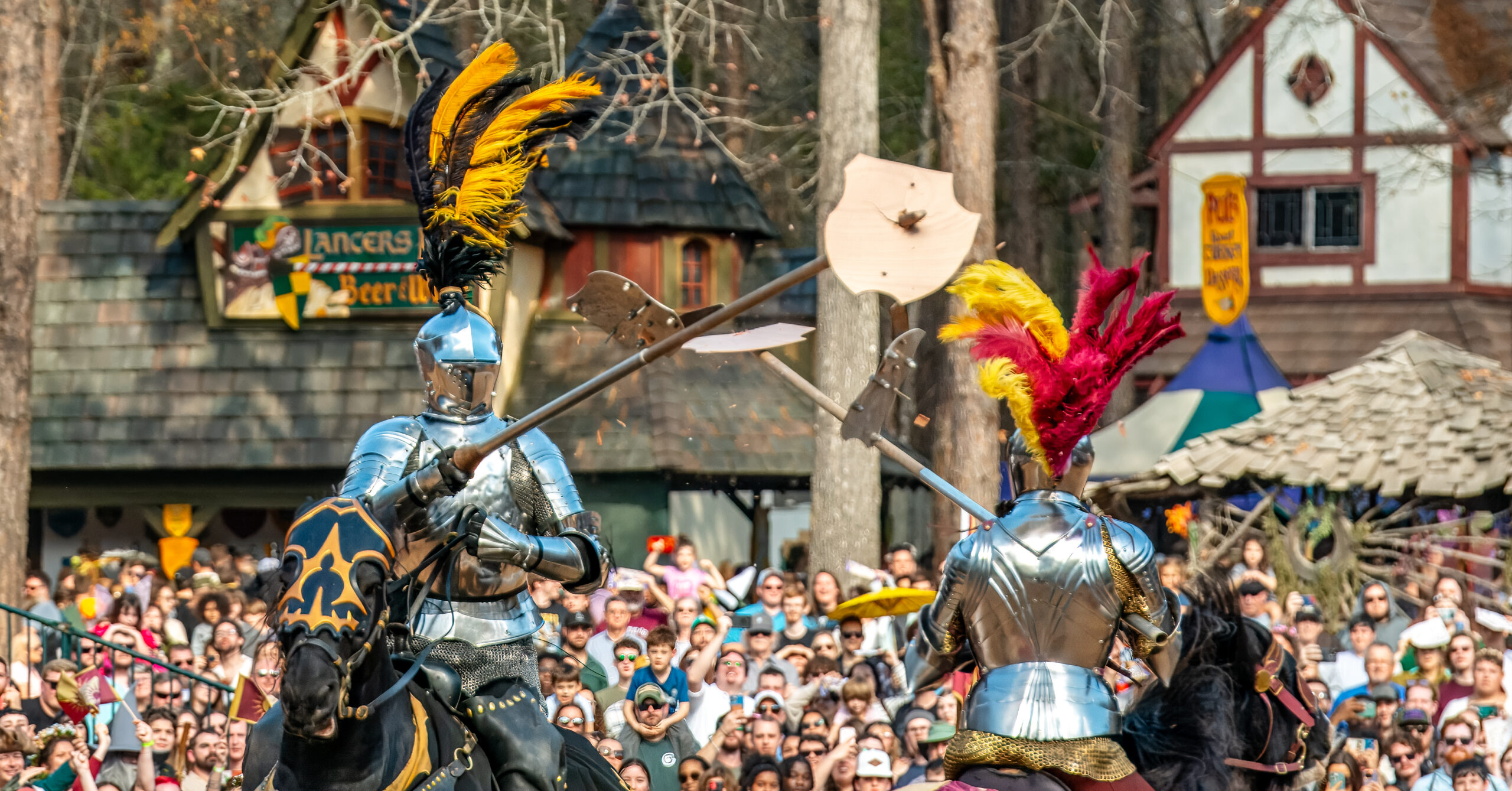 Carolina Renaissance Festival