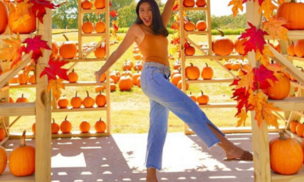 Where To Find The 14 Best Pumpkin Patches In NC & SC