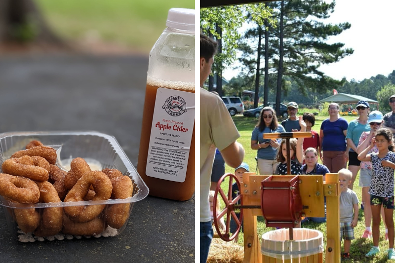 Hot, fresh-out-of-the-oven apple cider donuts; cider-pressing demonstration at Millstone Creek Orchards | Ramseur