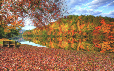 The Best Time To See SC & NC Fall Leaves Change Colors