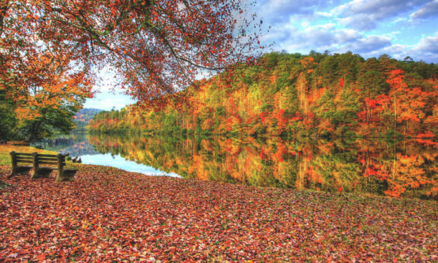 The Best Time To See SC & NC Fall Leaves Change Colors