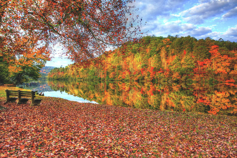 Lake Apalachia in autumn with NC fall leaves