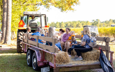 Pender County Fall Splendor: The Ultimate Destination for Autumn Family Fun