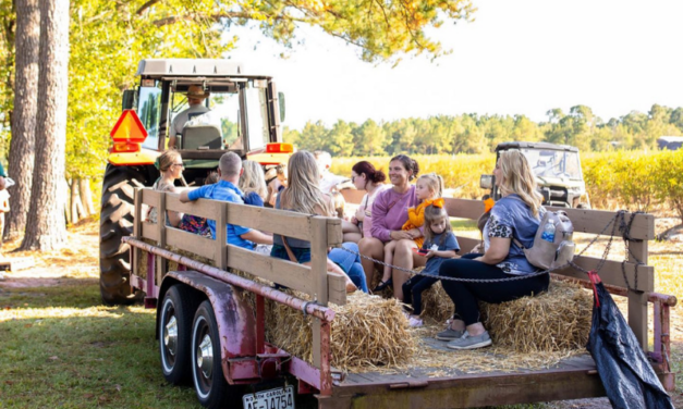 Pender County Fall Splendor: The Ultimate Destination for Autumn Family Fun