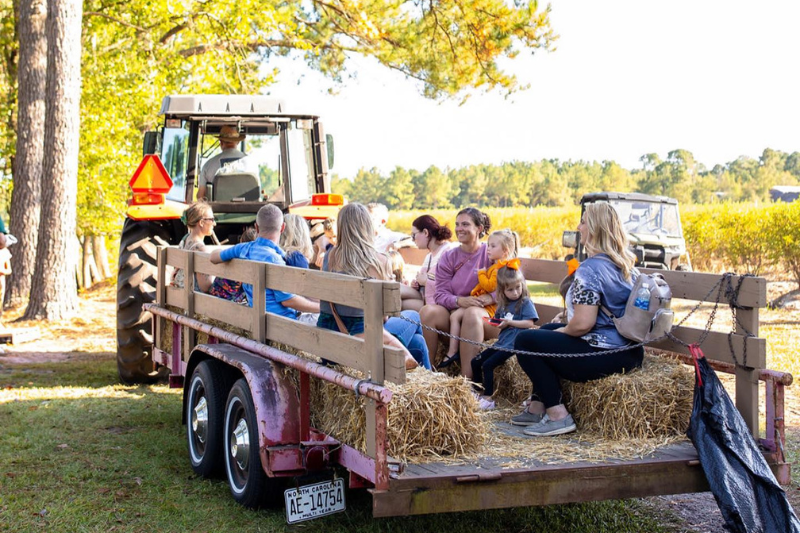 Gregory Farms hayride in Pender County fall