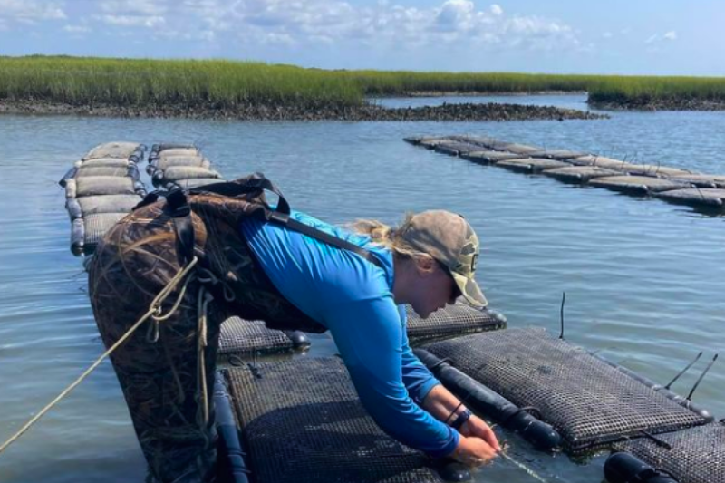 Oyster farming 101 with Ghost Fleet Oyster Co. | Hampstead