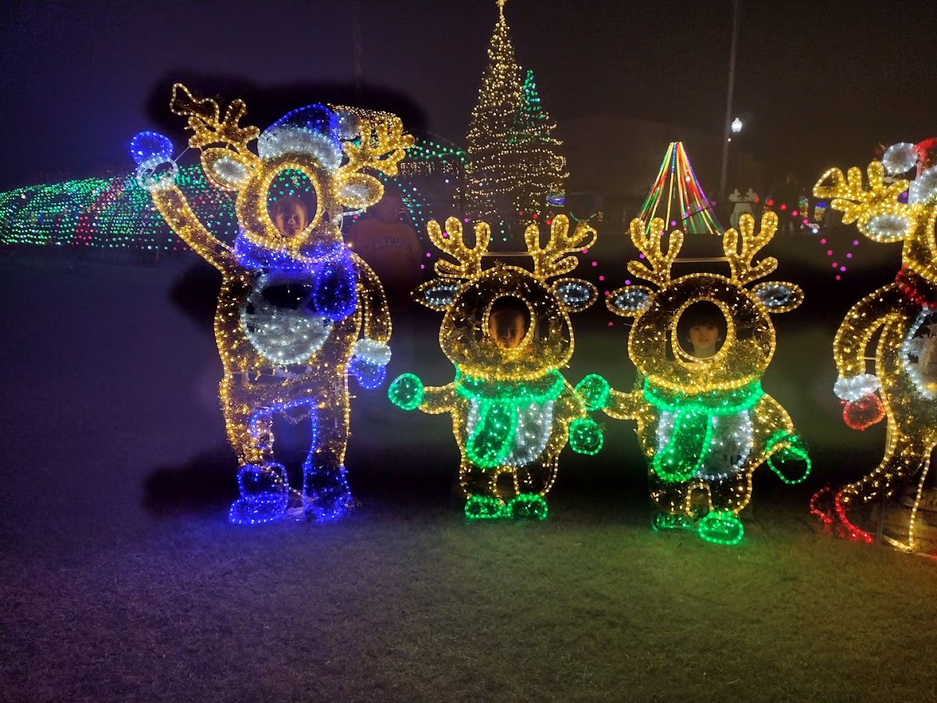 Magical Musical Holiday Lights Show