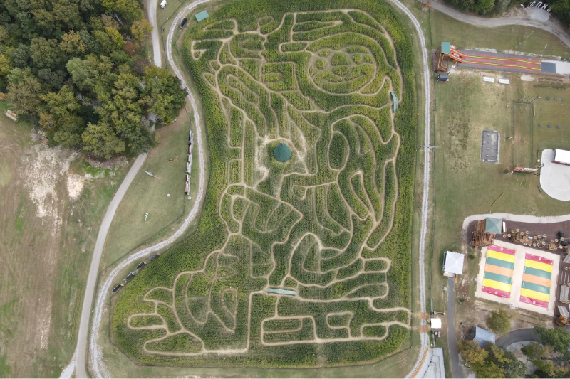 Corn maze at Kersey Valley Maize Adventures | Archdale