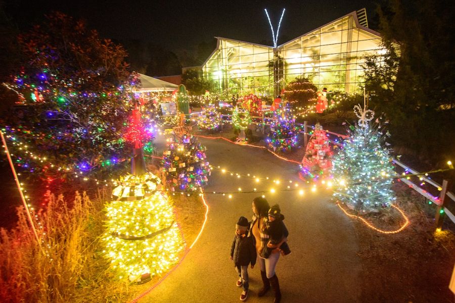 Holidays at the Park at Museum of Life and Science