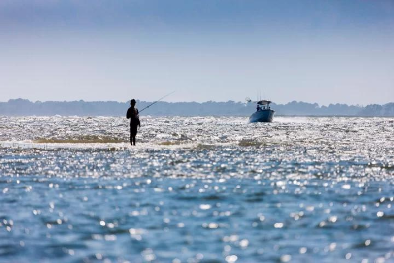 Paddleboarding in the SC Lowcountry