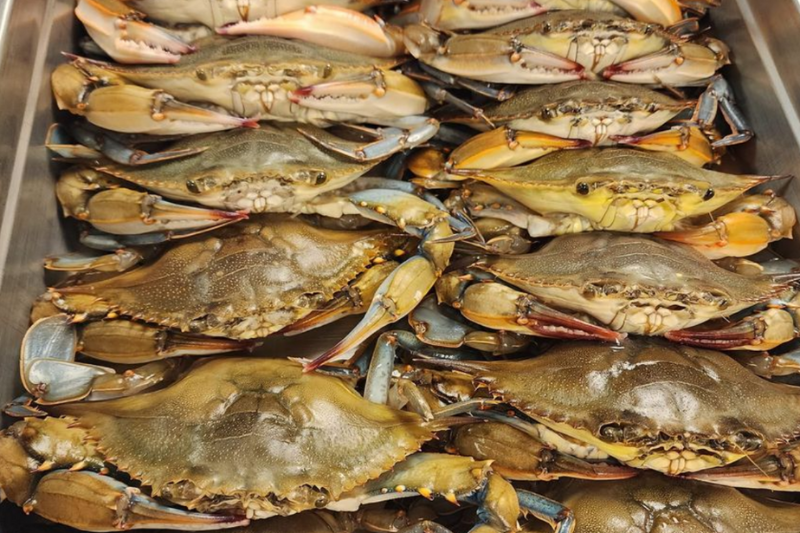 Soft-shell crab from Story's Seafood in Hertford, NC