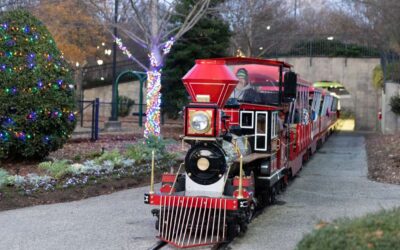 Discover the Best Christmas Train Rides in NC