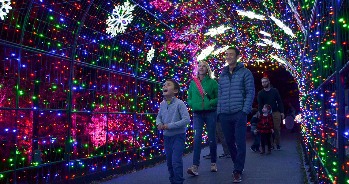 Winter Wonderlights at Greensboro Science Center