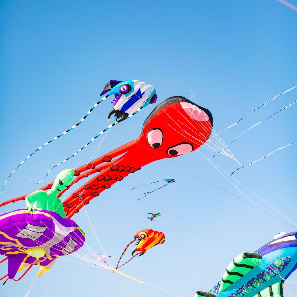 Cape Fear Kite Festival