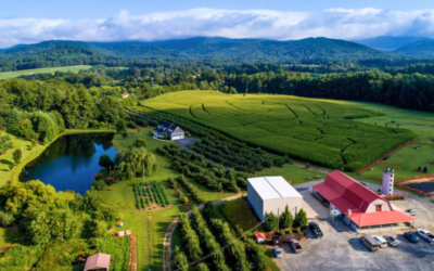 We Made You A Map Of The Best NC & SC Apple Orchards