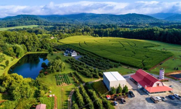 We Made You A Map Of The Best NC & SC Apple Orchards