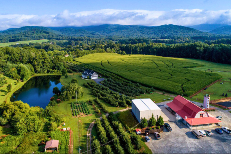 Skytop Orchard in Flat Rock -- one of the best NC apple orchards