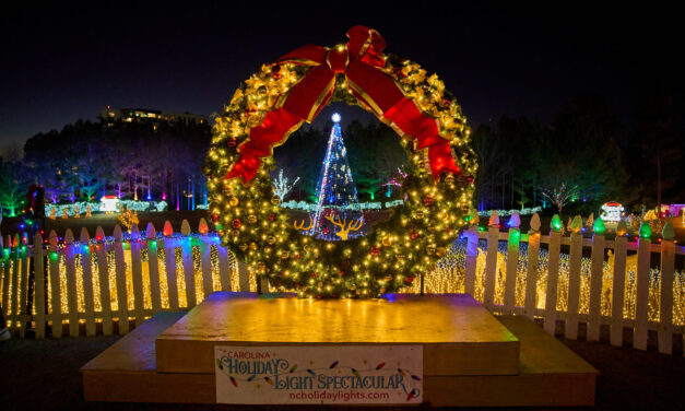 Charlotte Holiday Lights Spectacular