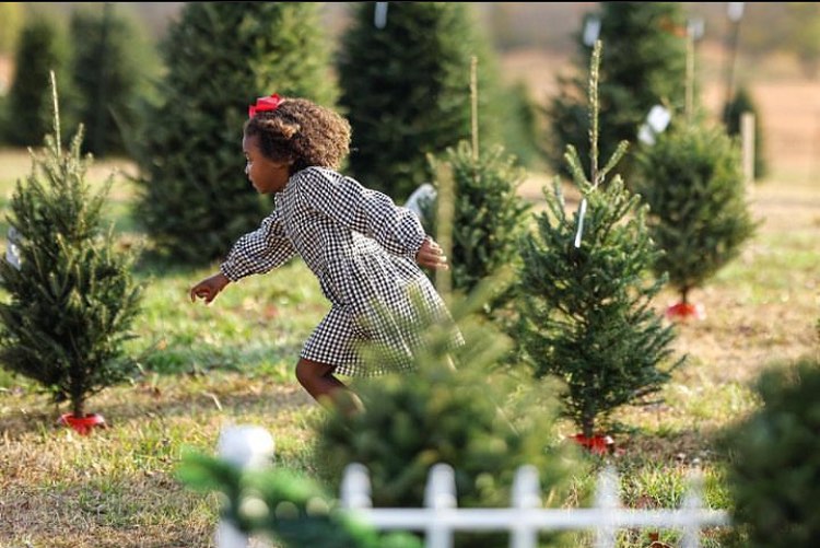 Christmas at the Farm