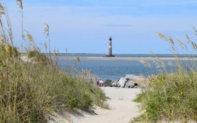 This Week’s Adventures In The Carolinas: Beaches, Wildflowers, and Scenic Trails