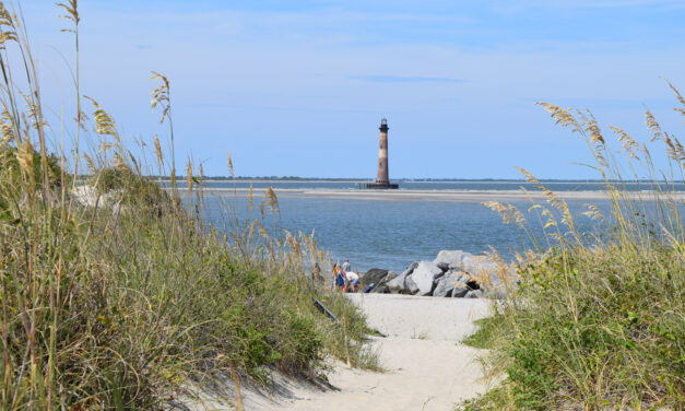 This Week’s Adventures In The Carolinas: Beaches, Wildflowers, and Scenic Trails