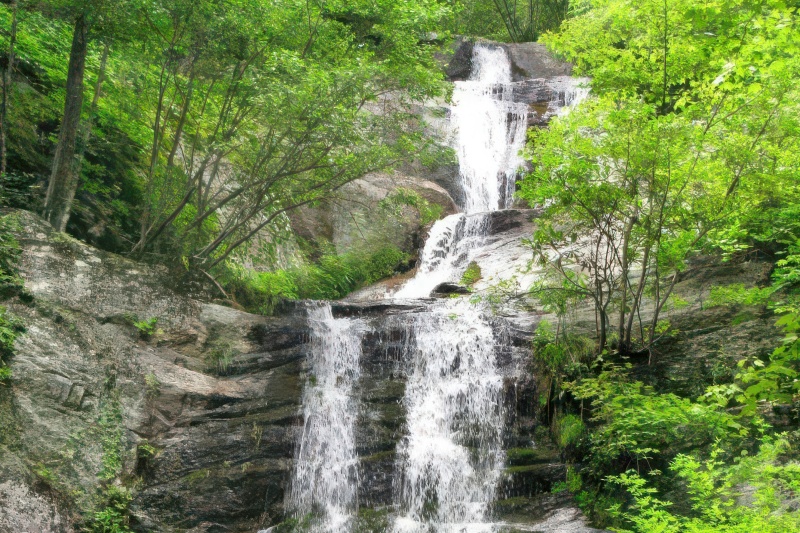 Toms Creek Falls
