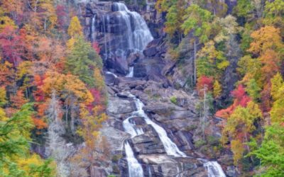 Savor Summer In The Carolinas