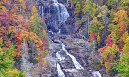 Savor Summer In The Carolinas