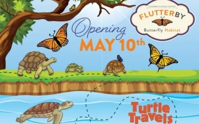 Butterflies and Turtles Take Over Catawba—But Only for a While!