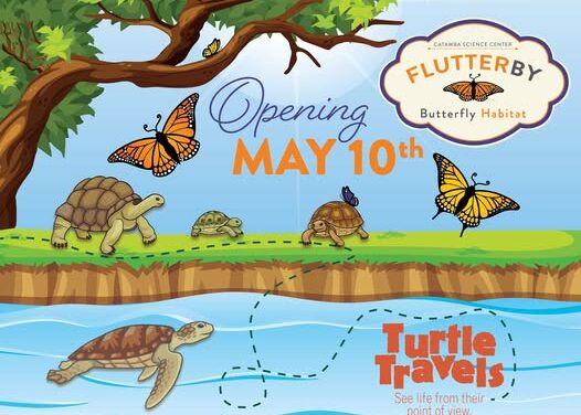 Butterflies and Turtles Take Over Catawba—But Only for a While!
