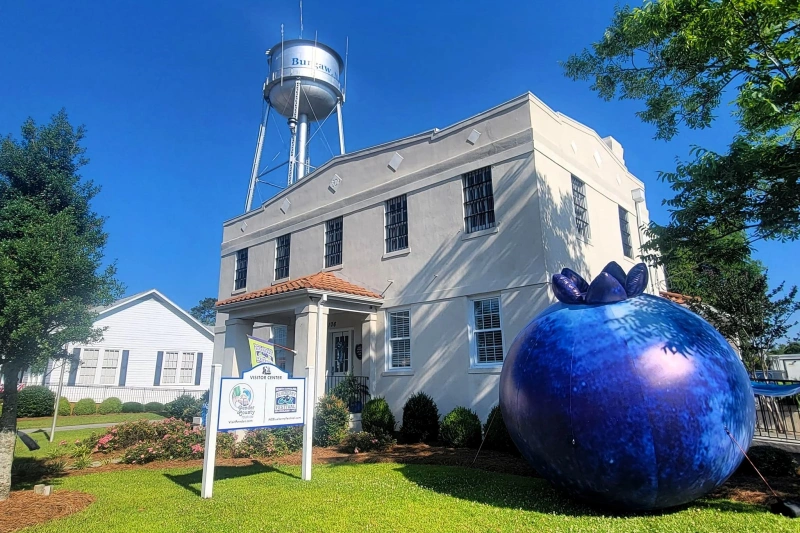 An inflated blueberry in front of a white building in Burgaw, NC