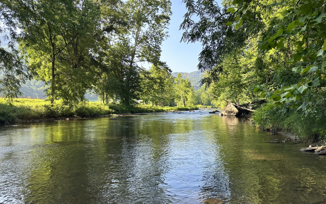 Beat the Heat and Hook a Catch – Summer Fishing Spots