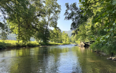 Beat the Heat and Hook a Catch – Summer Fishing Spots