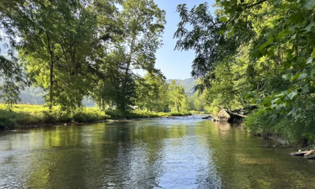 Beat the Heat and Hook a Catch – Summer Fishing Spots