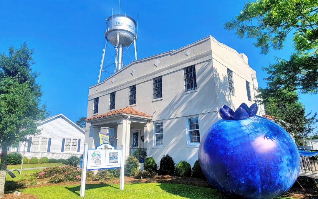 Savor the South at the North Carolina Blueberry Festival