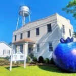 Savor the South at the North Carolina Blueberry Festival