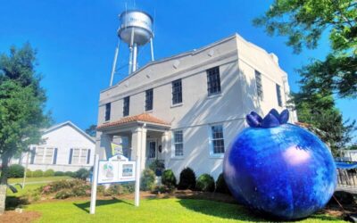 Savor the South at the North Carolina Blueberry Festival