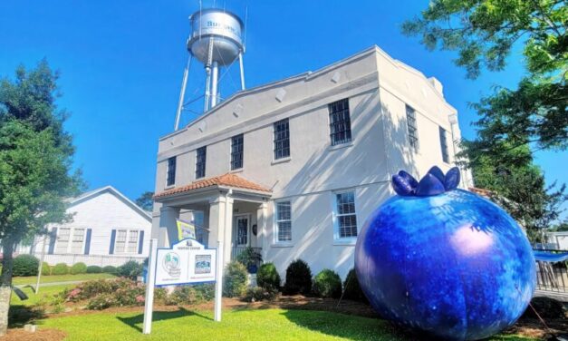 Savor the South at the North Carolina Blueberry Festival